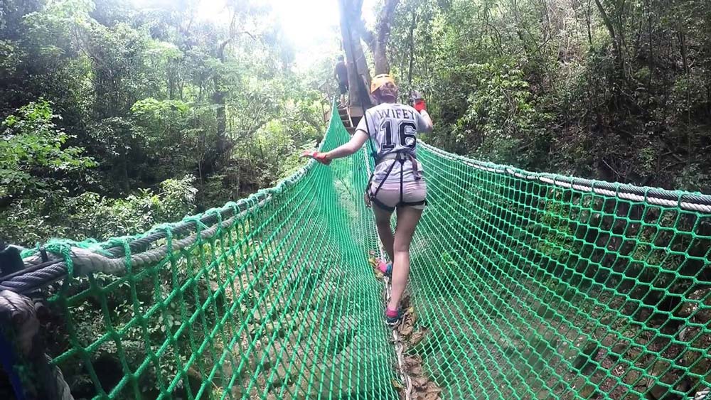 Antigua Rainforest Canopy walk on the net