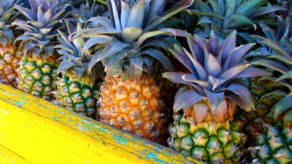 Cades Bay Pineapple Station pineapple shelf