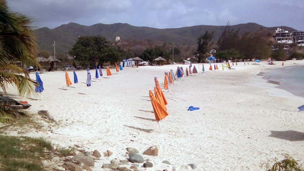 Dennis beach umbrellas