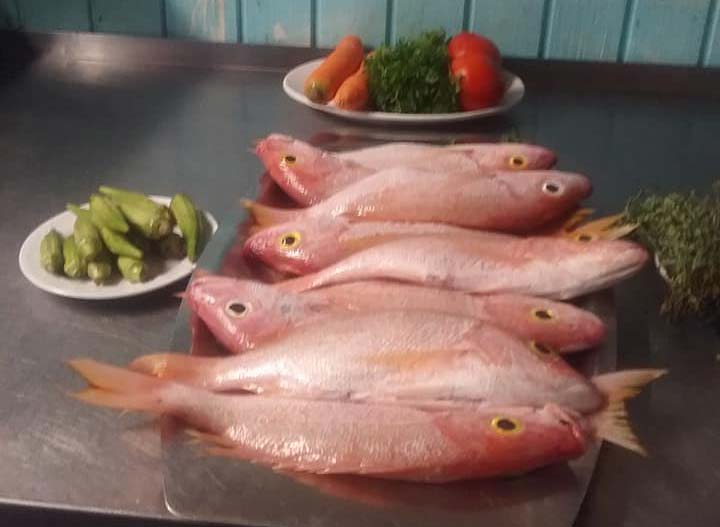 Island Fusion fresh fish