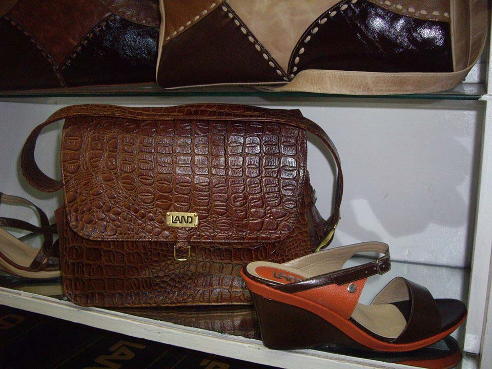 Land Leather brown bag matching orange accent shoe
