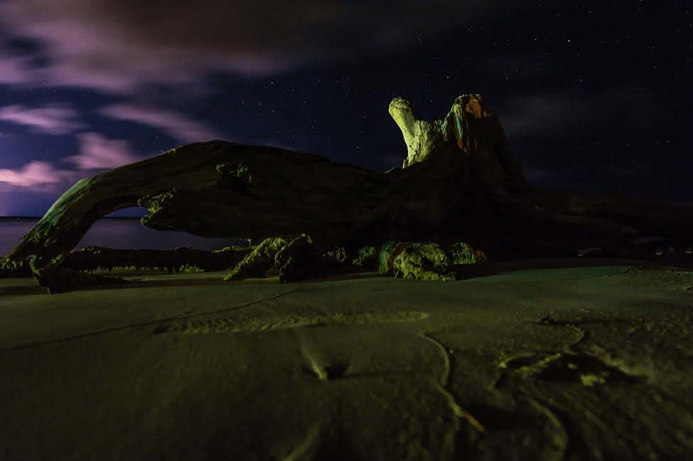 Mark Blan Photography beach driftwood at night