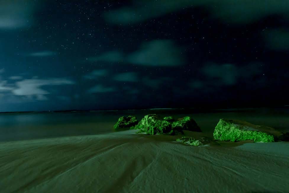 Mark Blan Photography green sea at night