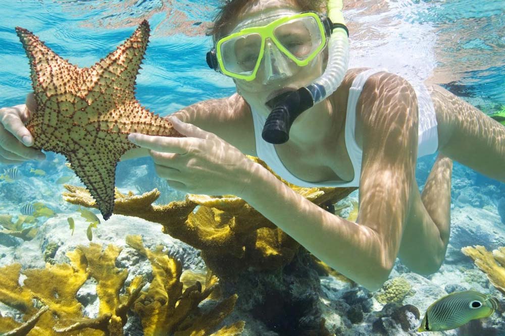 Treasure Island Cruises snorkeling with starfish