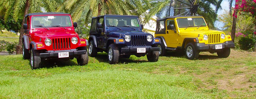 Tropical Rentals three jeeps